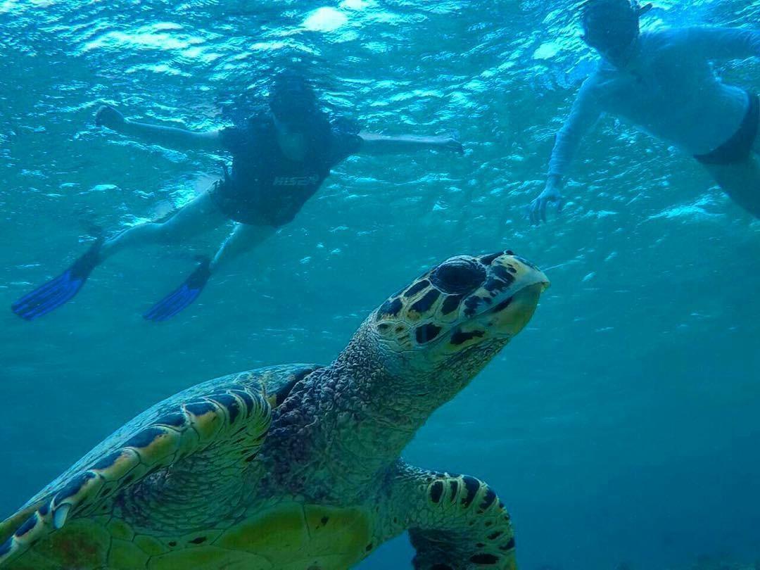 Summer Shade Maldives ダラバンドゥ エクステリア 写真