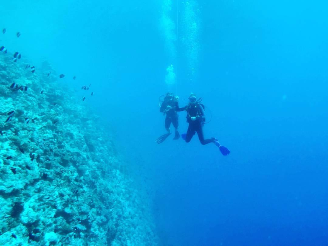 Summer Shade Maldives ダラバンドゥ エクステリア 写真